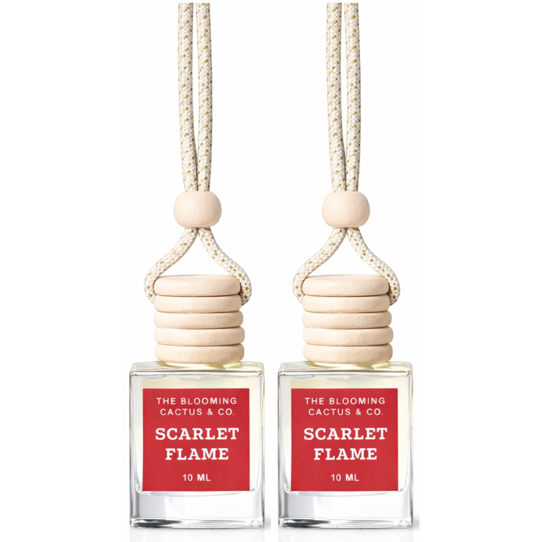 2 Pack Long Lasting Car Air Freshener, Hanging Fresh Aroma Diffuser, Natural Essential Oil Fragrance - Odor Remover, Auto Interior Decor, Made in USA 10 ML