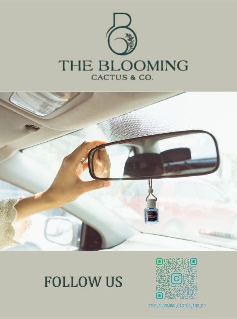 Car Diffuser Refill | Love Spell (Type)